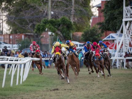 Blog about the lifestyle of racehorses in Barbados - Swimstones